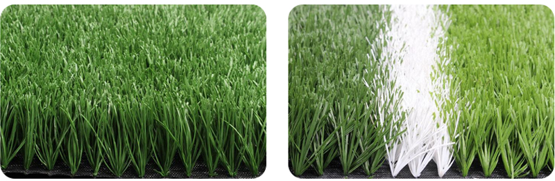 足球場(chǎng)人造草