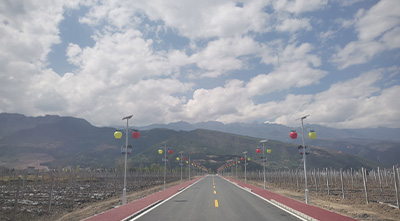 不同的道路交通標線有哪些作用？